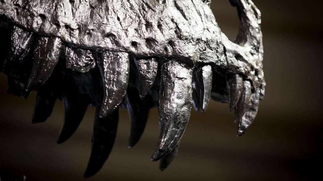 Fossil tooth analysis confirms Tyrannosaurus rex was warm-blooded