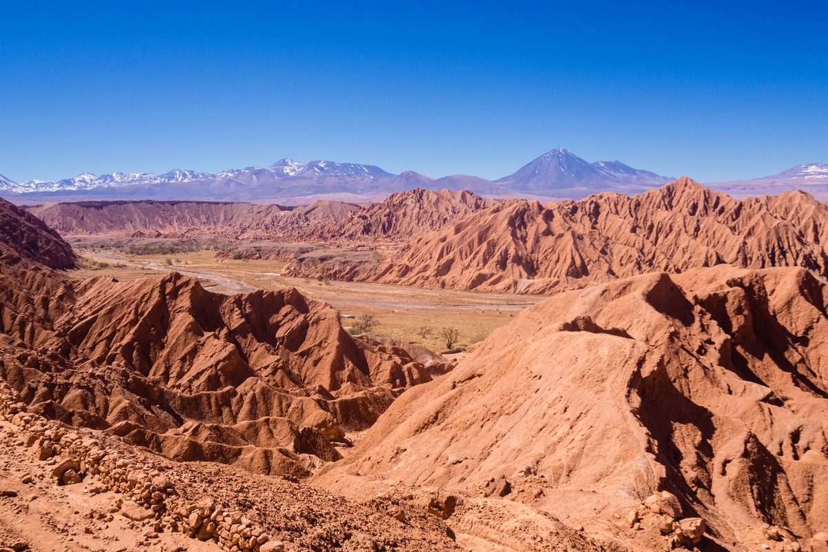“Just freakish!” Experts uncover something extraordinary in one of the driest places on Earth