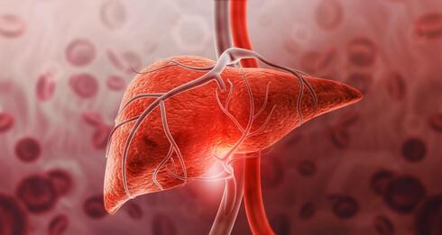 Keto diet cuts liver fat by 67% and improves blood sugar, study finds