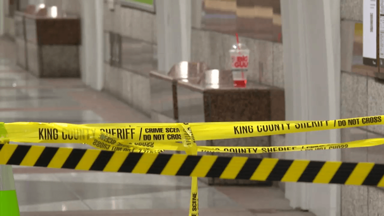 Man in critical condition after stabbing in downtown Seattle, found on light rail