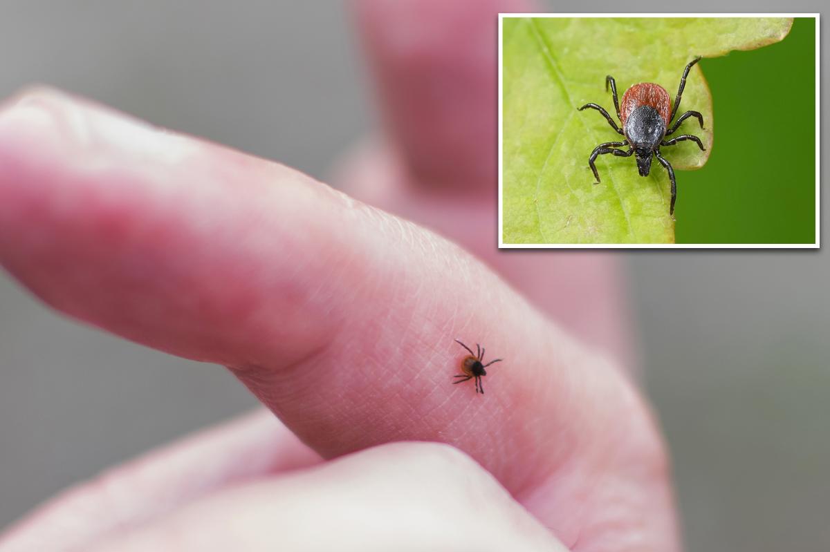 New tick-borne virus that can cause flu-like illness discovered in China