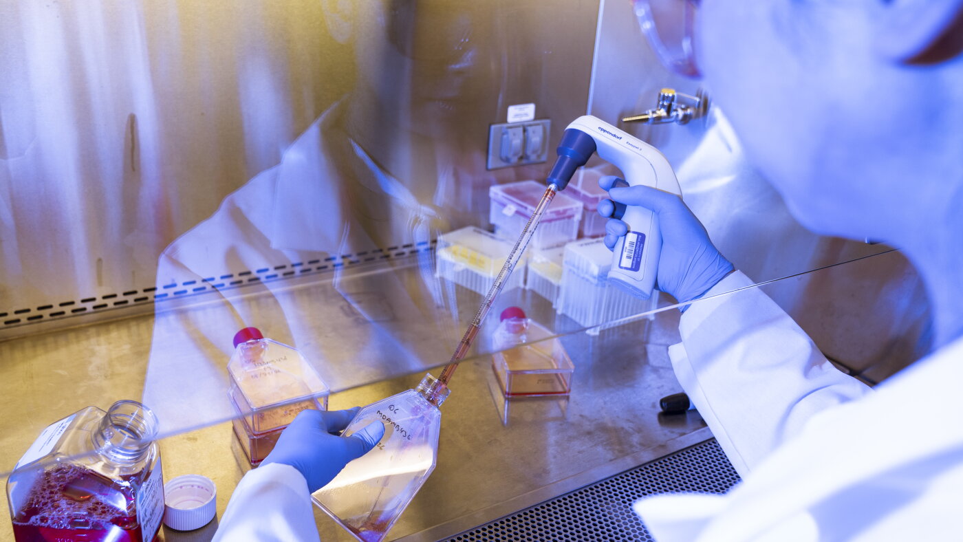 Origin Genomics’ mission to make healthy, gene-edited babies : NPR