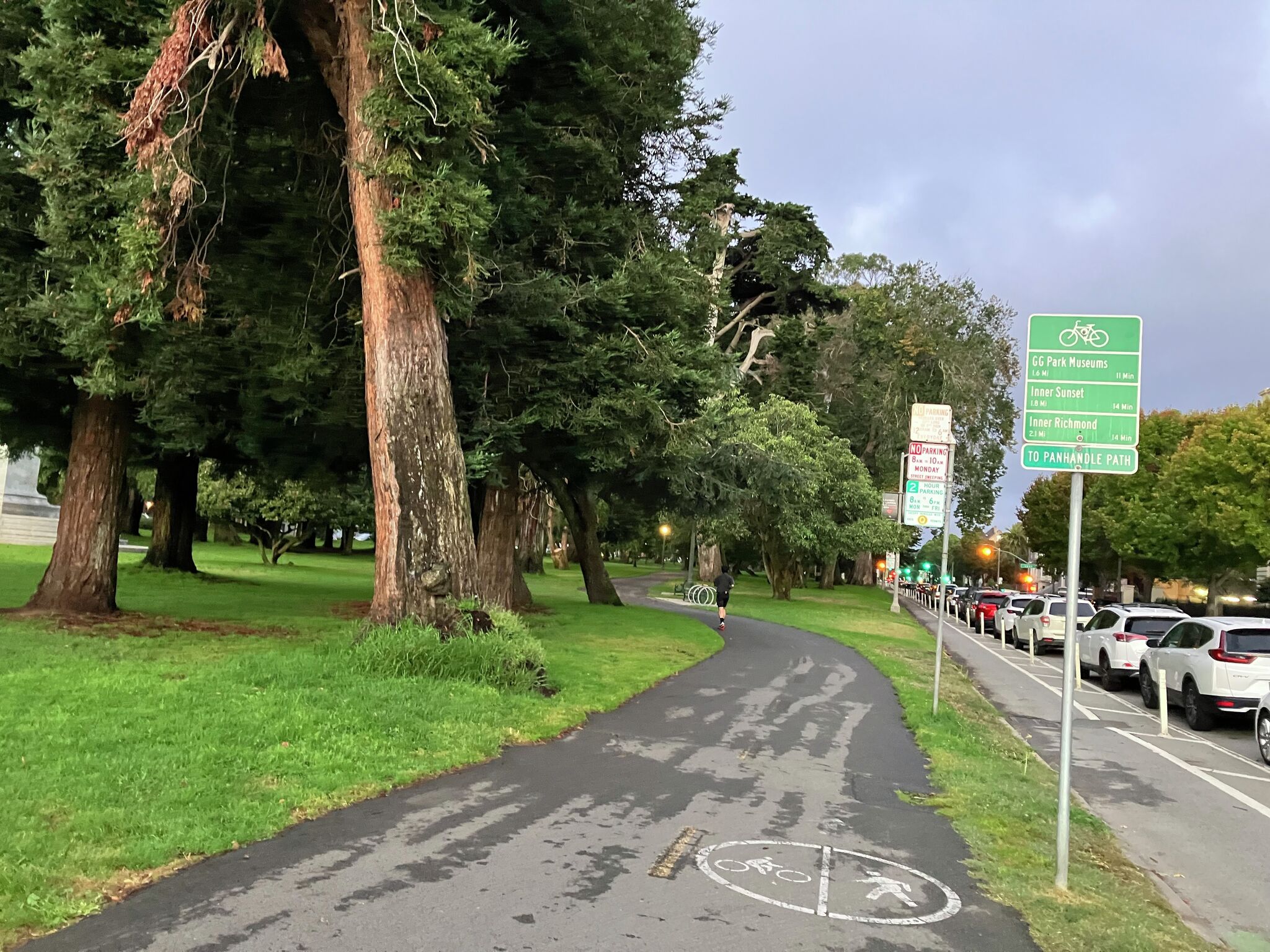 SF mountain lion mystery: Is it still in Golden Gate Park?