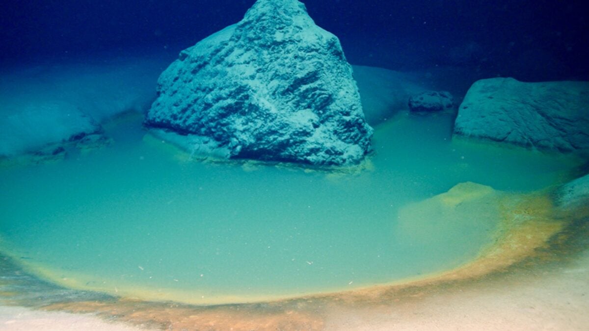Scientists Found a Deep-Sea ‘Death Pool’ That Vanished. It May Show How Earth's First Life Survived