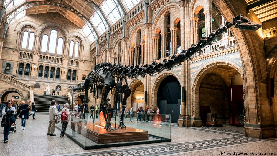 Spanish scientists find first signs of Diplodocus in Europe