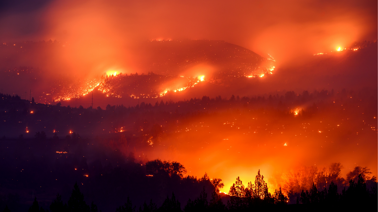 Super-sized El Niño could cause more than 450,000 heat deaths by February, study suggests
