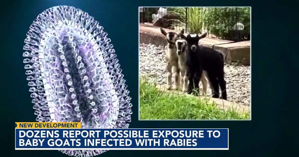 What health experts are saying after rabid goats discovered in NC :: WRAL.com