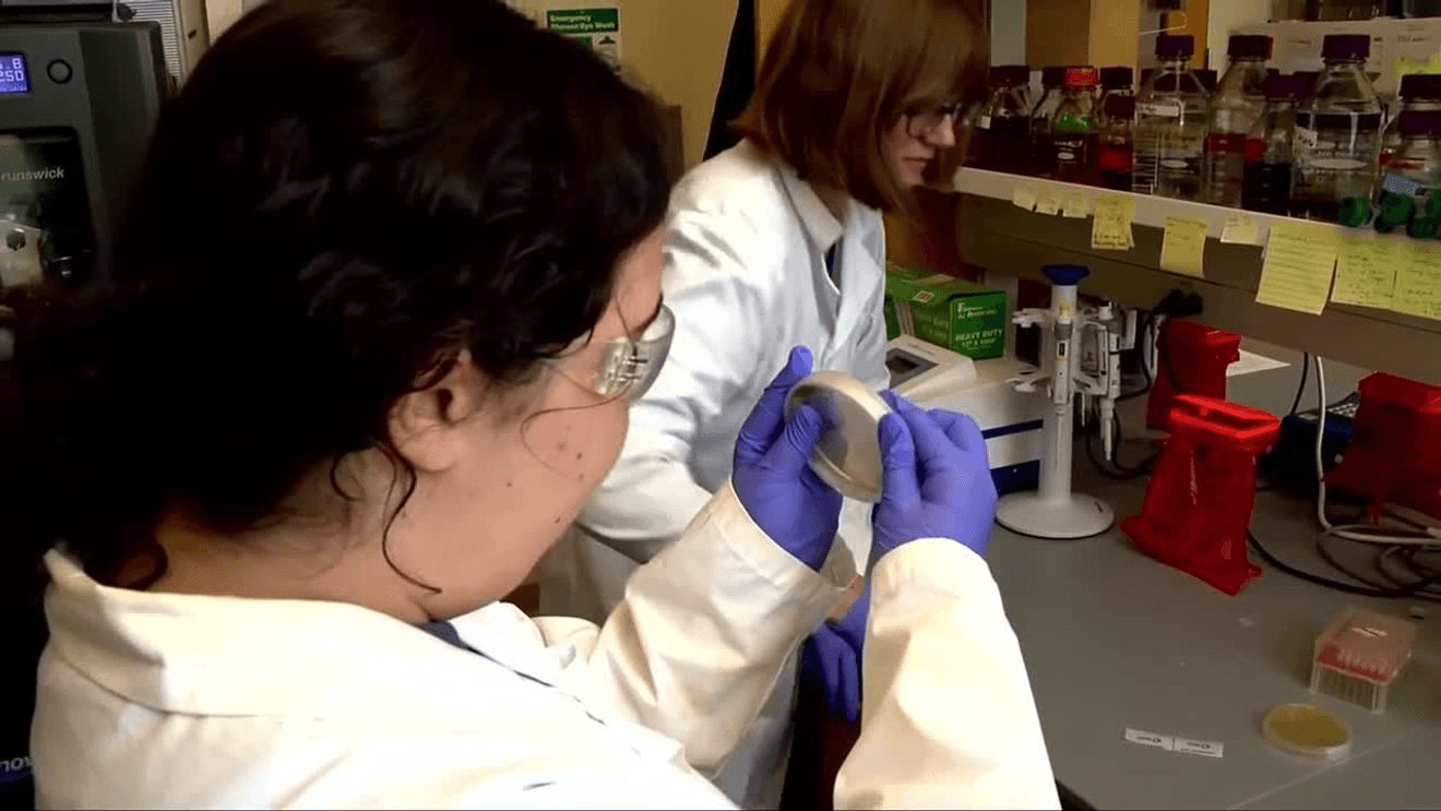 ‘It was very surreal,’ UNC Asheville researchers make a discovery in drug-resistant staph