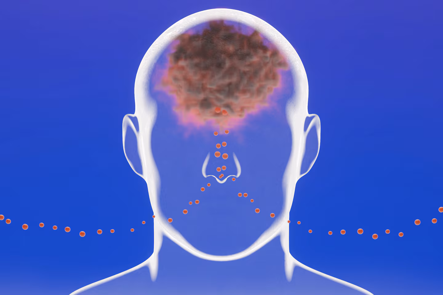 A remarkable new picture is emerging of how the air around us could alter the brain