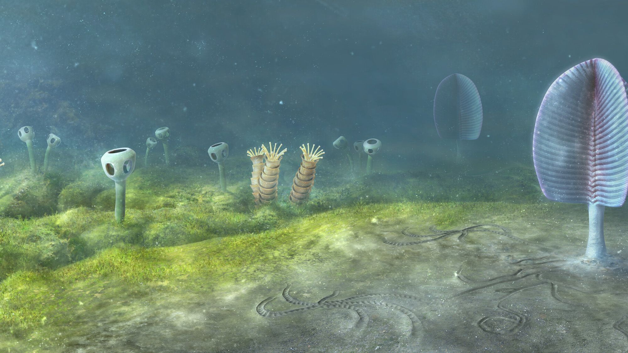 Animals may have evolved 200 million years earlier than previously thought, new study suggests