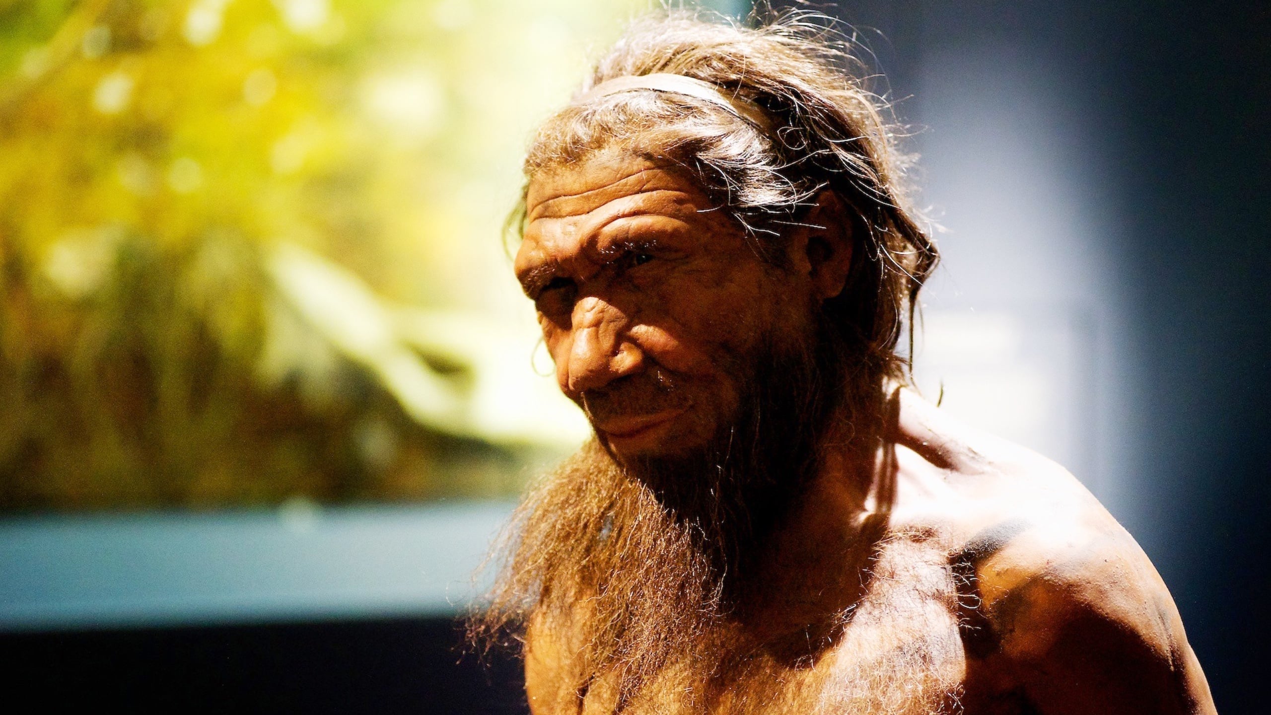 Archaeologists Uncover Unprecedented Evidence of Neanderthal Woodworking Skills : ScienceAlert