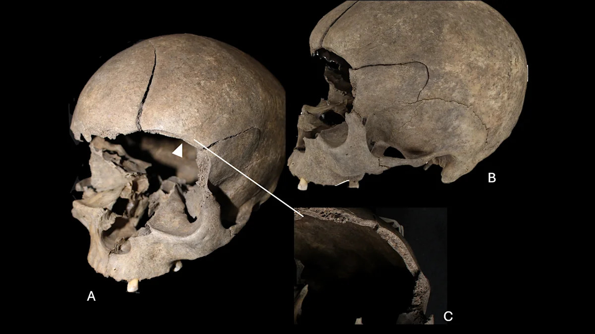 Archaeologists discover a child's skull built into the floor of a 2,500-year-old Scandinavian house
