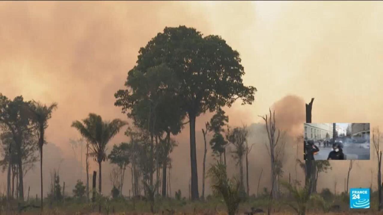 Brazil: Amazon deforestation at 40-year low