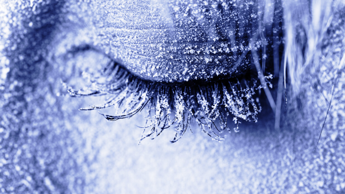 Cold Triggers a Hidden Molecular Pathway That Extends Lifespan, Study Finds : ScienceAlert