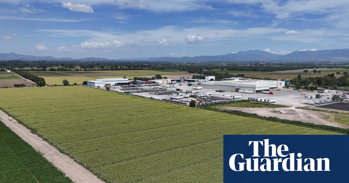 Cyclospora found at Mexican farm linked to lettuce outbreak, FDA says | US news