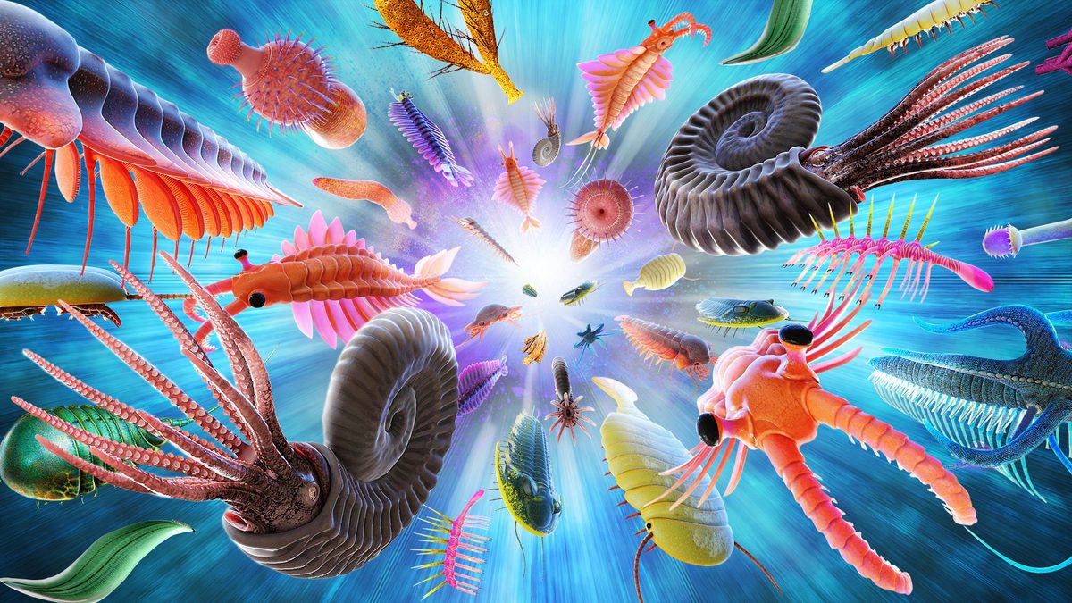 Did an eruption of poop trigger the biggest explosion of life and diversity Earth has ever seen?
