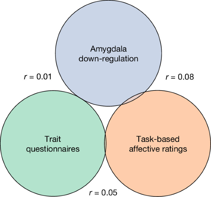 Emotion regulation capacity lacks a shared neural signature