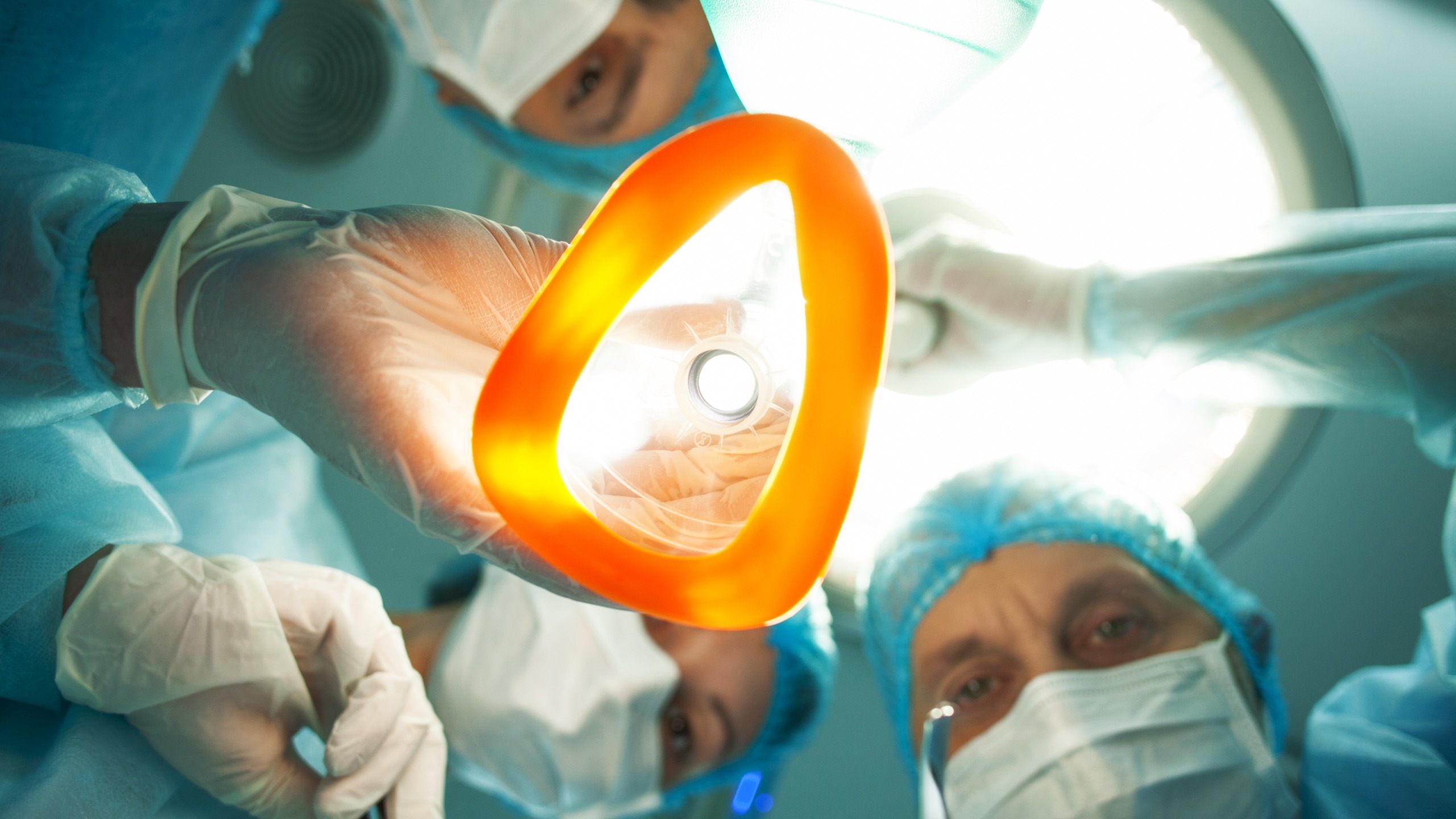 From Humans to Worms, Anesthesia Pushes Nervous Systems Into The Same Strange State : ScienceAlert