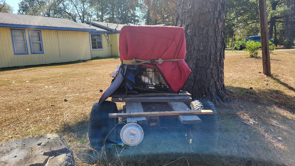 Homeowner Finds Trailer Abandoned In Her Yard And Realizes It's Hiding Babies