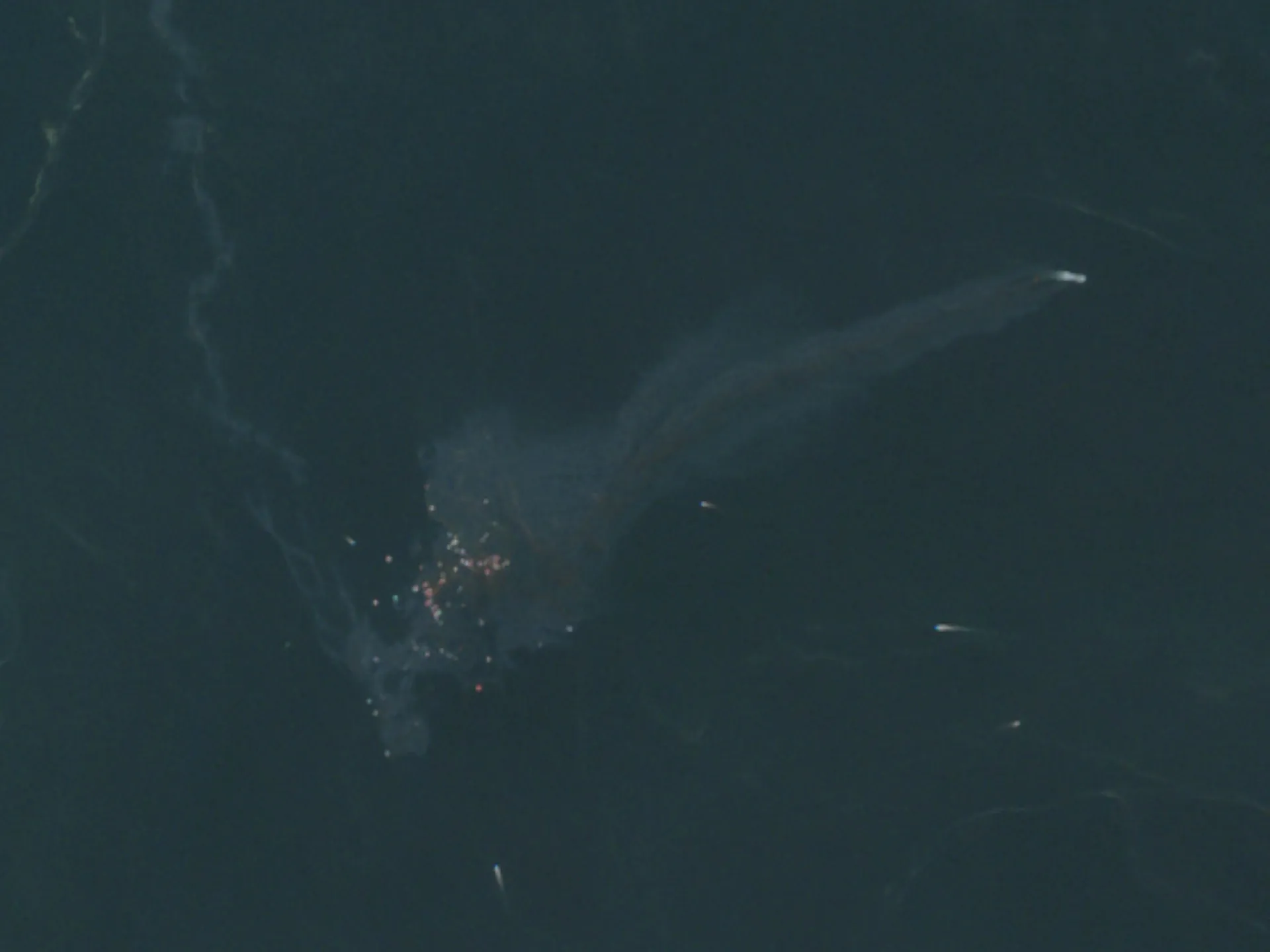 Iran says two tankers catch fire after hitting mines in Strait of Hormuz | Energy News