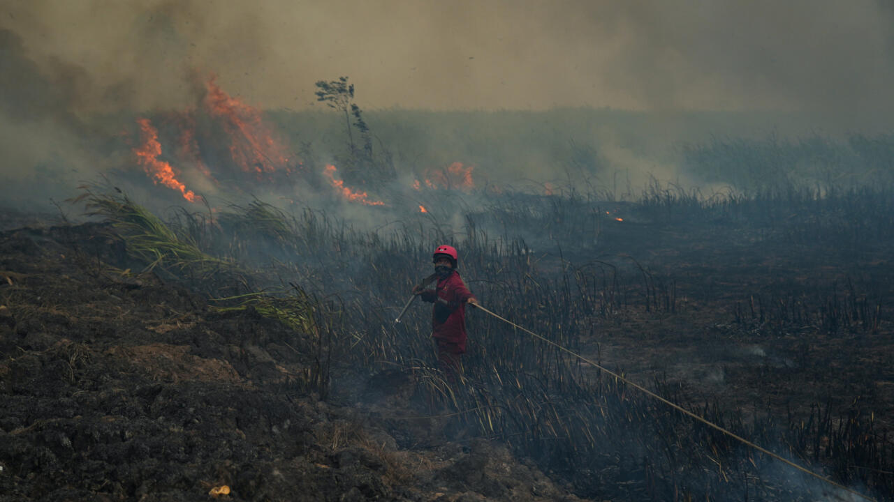 Months-long Indonesia wildfires spew toxic haze across Southeast Asia