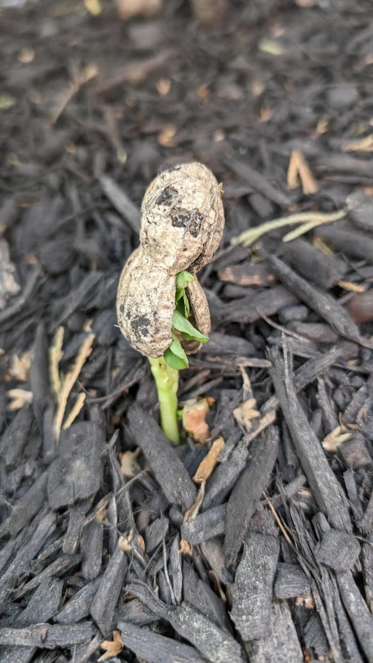 My Mind Got Blown After Seeing These 25 Incredible Pictures For The First Time
