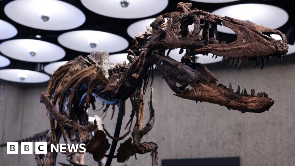 Nanotyrannus skeleton goes to auction in New York with £4.5m price tag - BBC
