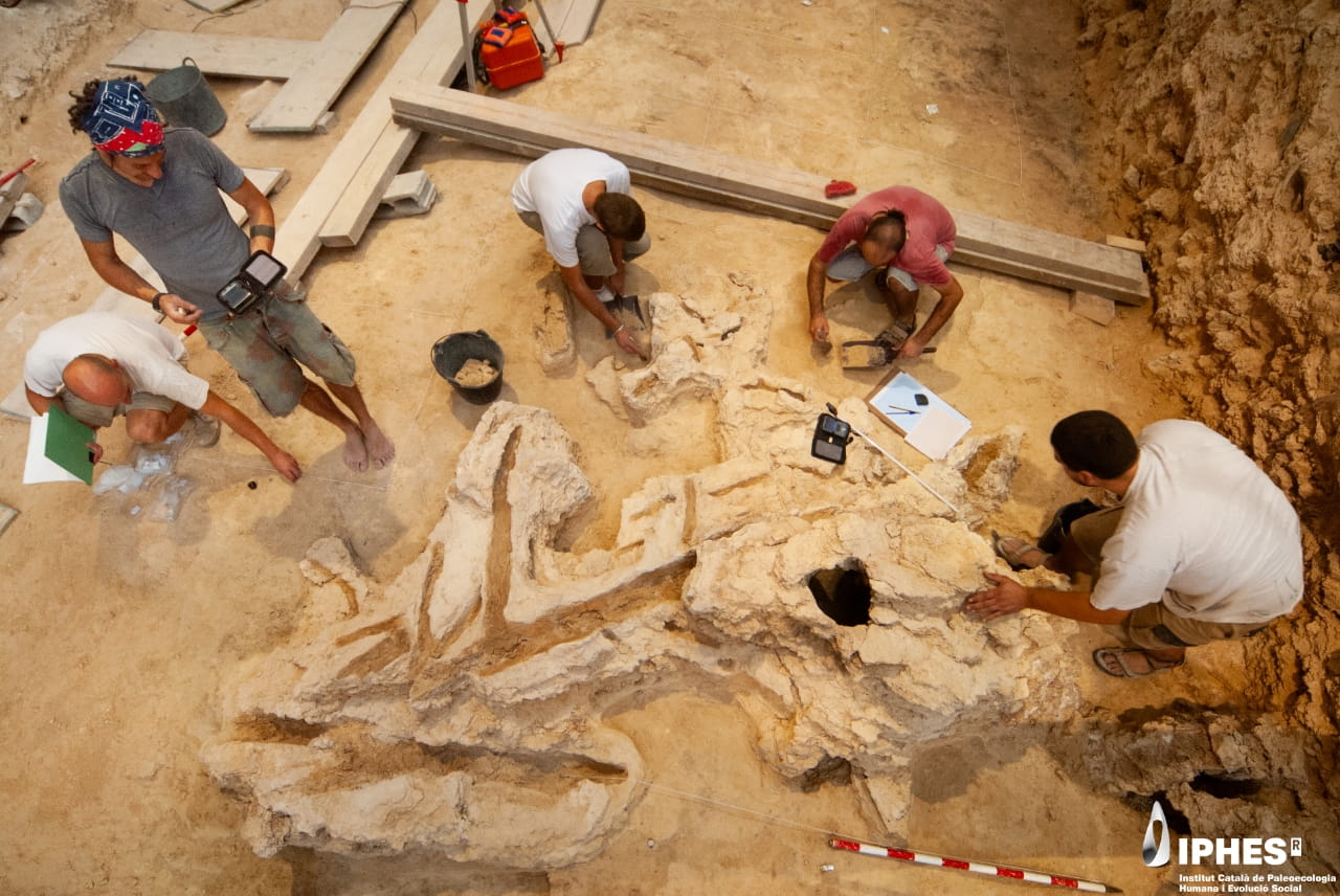 Neanderthal woodworking was far more advanced than we thought, new study shows