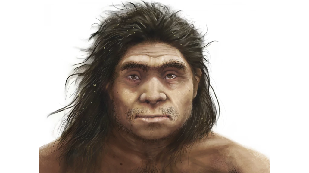 Our extinct cousins the Denisovans had a 'distinctive' appearance, new analysis reveals