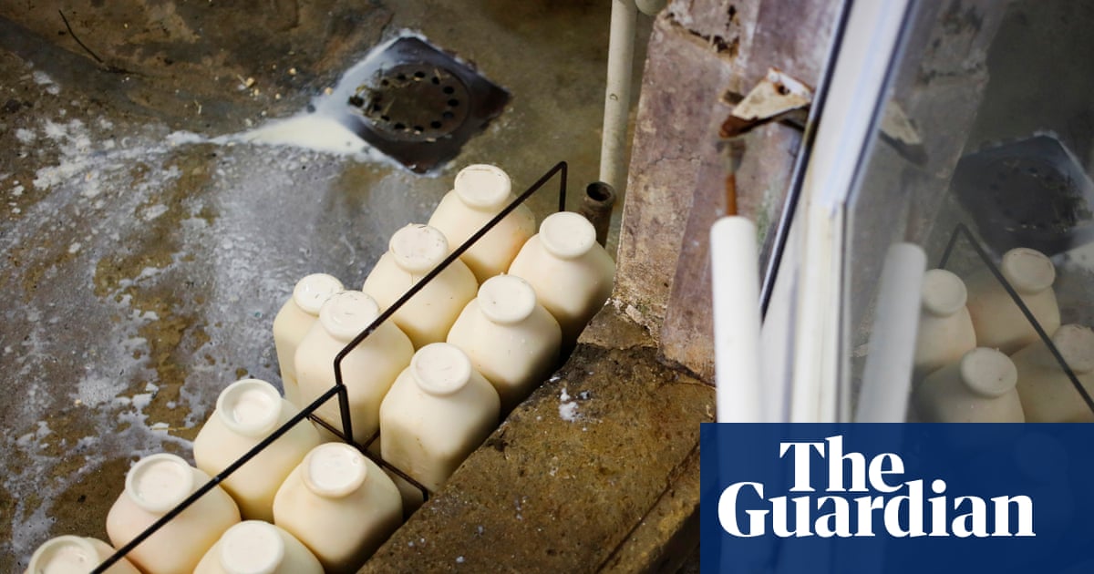Physicians’ group calls for ban on raw milk – as it’s becoming increasingly popular in the US | Food safety