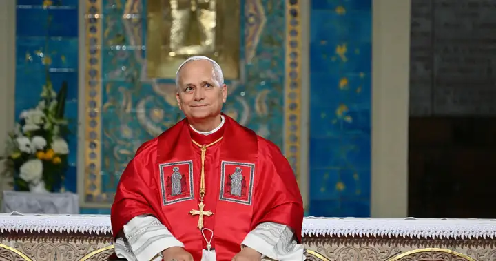 Pope Leo diagnosed with lung cancer after nodule removal, Vatican says - National