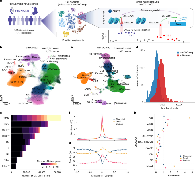 Population-scale immune multiome atlas reveals regulatory disease mechanisms