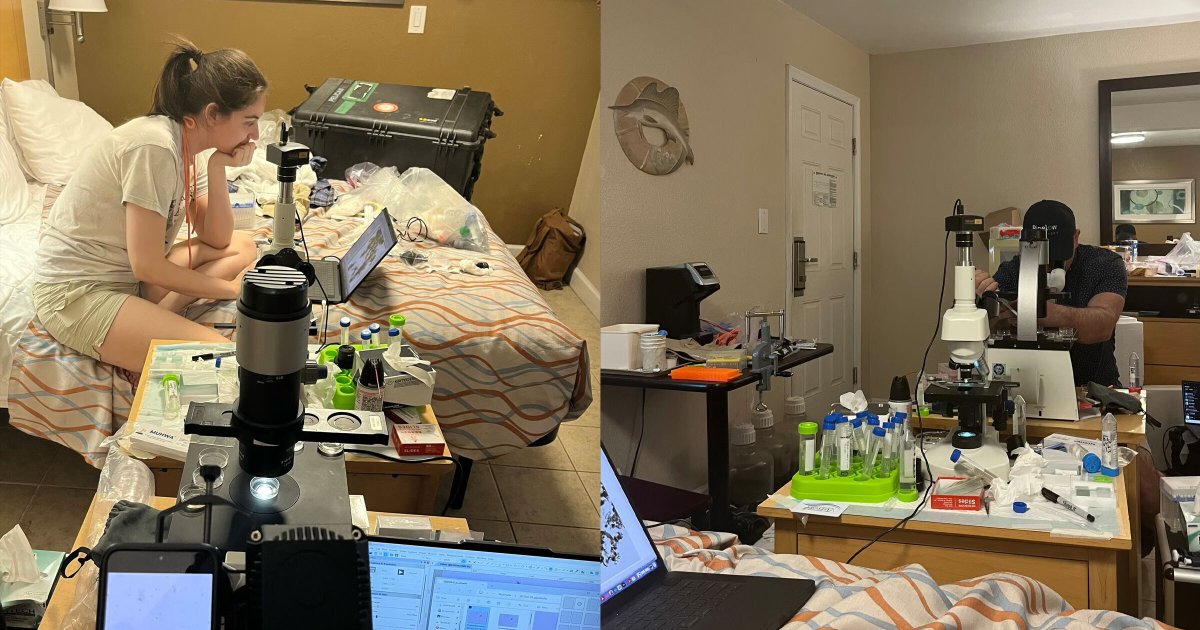 Rag Tag Team of Biologists Who Lost Funding Because of Trump Turned a Motel Room into Makeshift Lab and Made a Groundbreaking Discovery