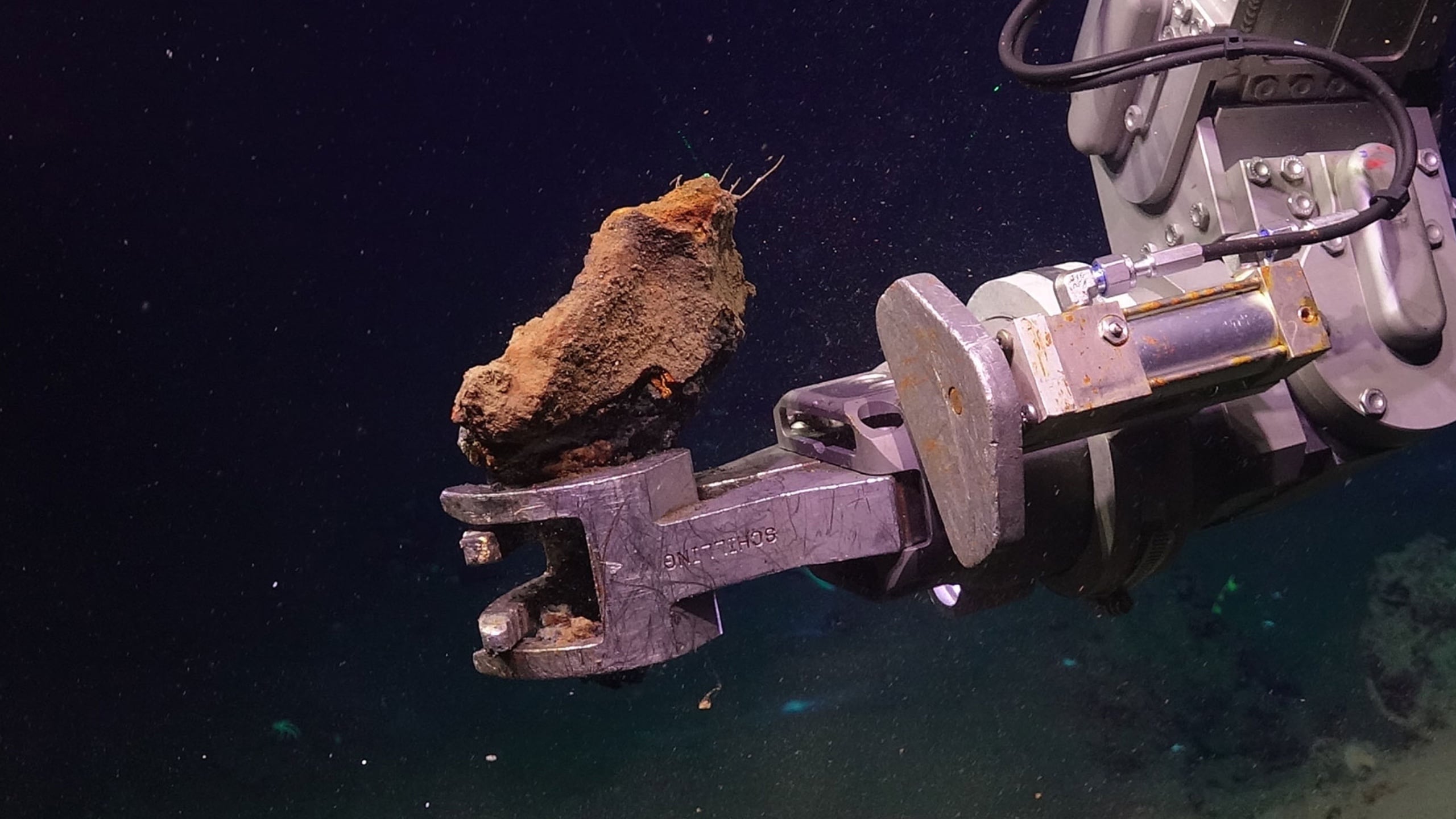 Scientists Collected Deep-Sea Rocks. They Spontaneously Caught Fire in The Lab. : ScienceAlert