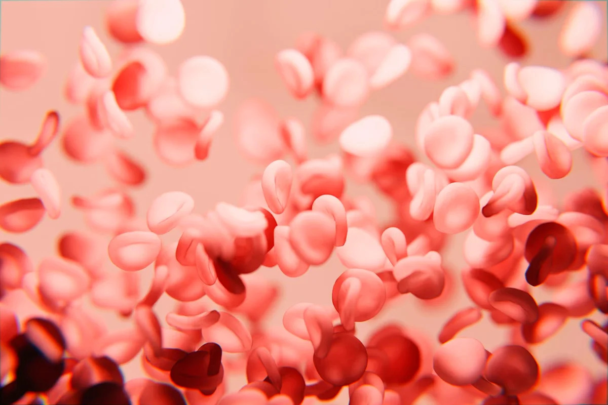 Scientists Made an 80-Year-Old’s Cells Look 19 Years Old. Could It Mean Aging Is Reversible?