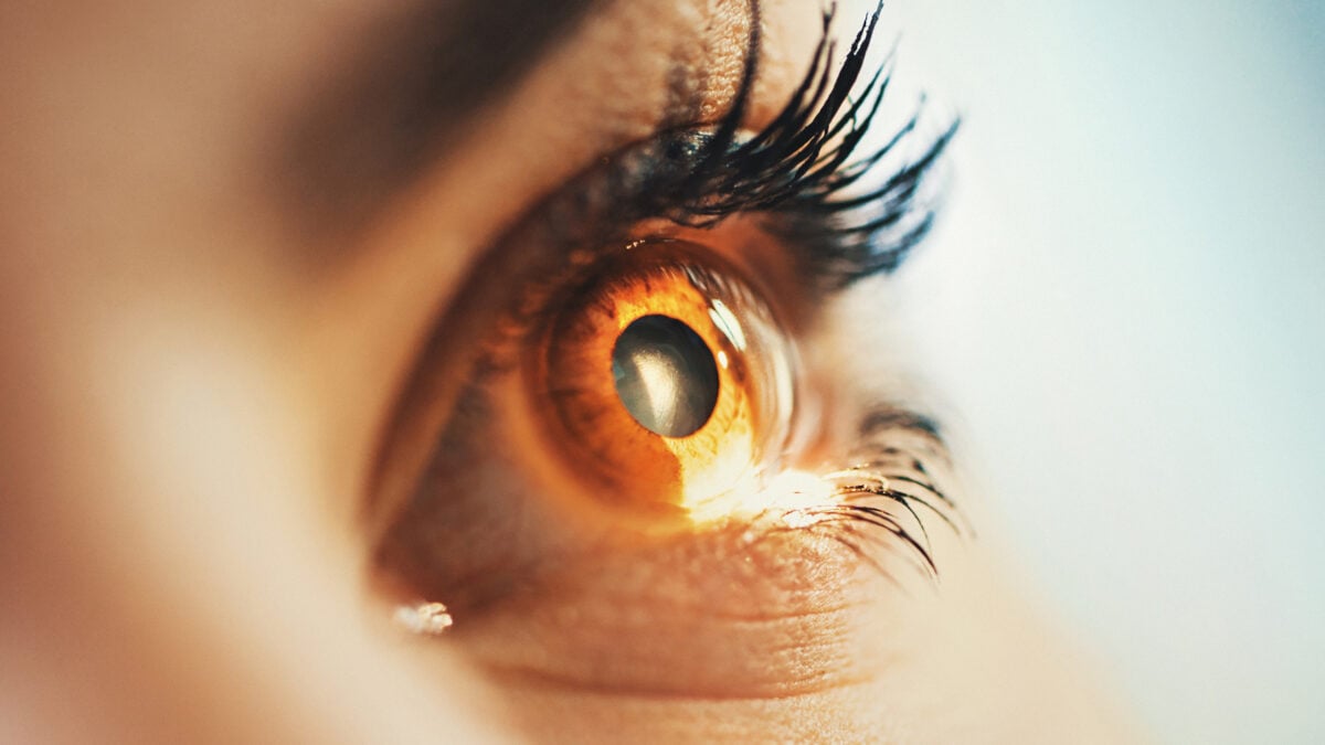 Scientists May Have Found a Way to Make Damaged Adult Retinas Repair Themselves : ScienceAlert