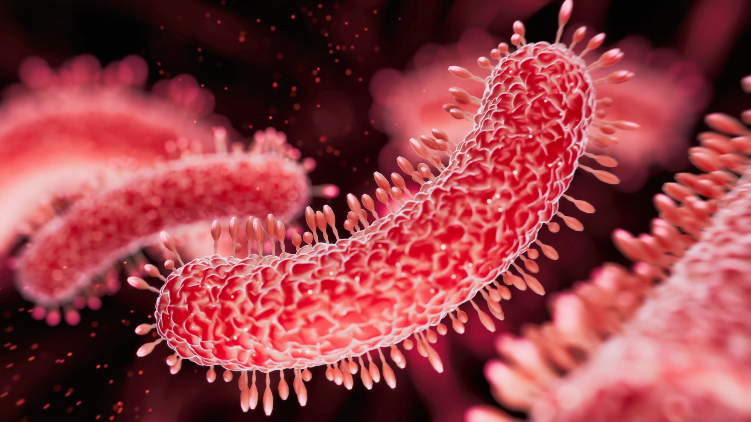 Sexually Transmitted Diarrhea Is Exploding in The US. And It's Growing Resistant to Medicine : ScienceAlert