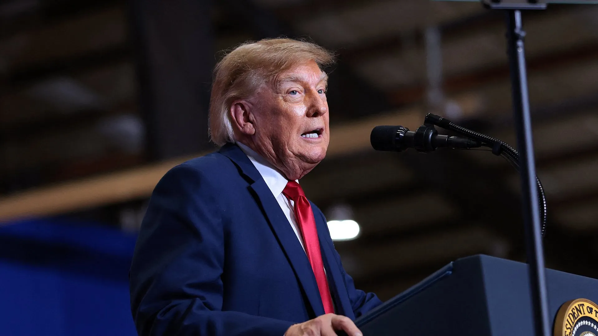 Trump praises man who punched protester at rally in South Carolina | Donald Trump